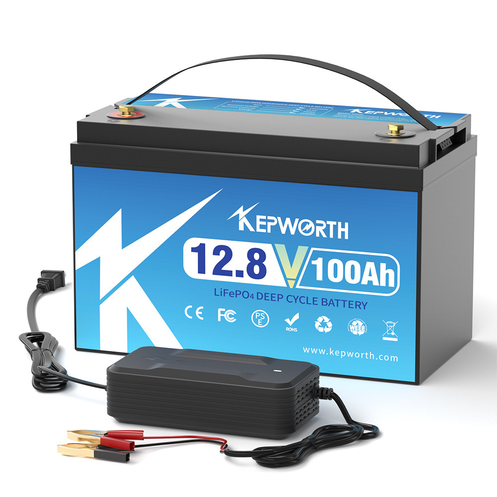 12V 24V 100AH 120AH 300AH LiFe - Lifepo4 12V 100Ah Bms Bluetooth recensione e prezzo